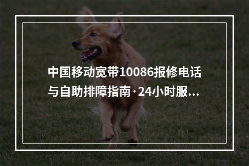 中国移动宽带10086报修电话与自助排障指南·24小时服务专线