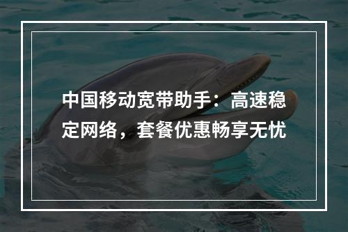 中国移动宽带助手：高速稳定网络，套餐优惠畅享无忧
