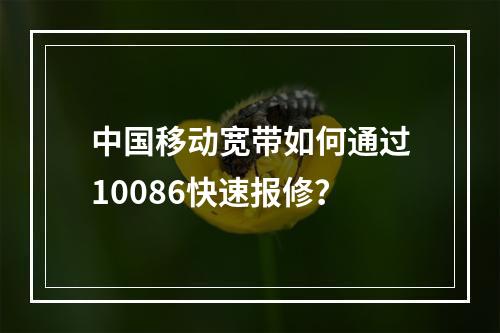 中国移动宽带如何通过10086快速报修？