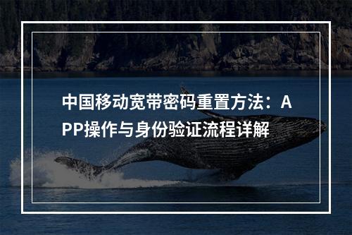 中国移动宽带密码重置方法：APP操作与身份验证流程详解