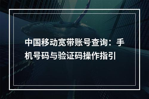 中国移动宽带账号查询：手机号码与验证码操作指引