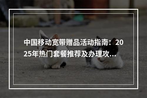 中国移动宽带赠品活动指南：2025年热门套餐推荐及办理攻略