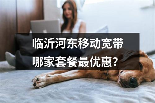 临沂河东移动宽带哪家套餐最优惠？