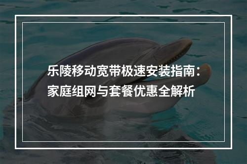 乐陵移动宽带极速安装指南：家庭组网与套餐优惠全解析