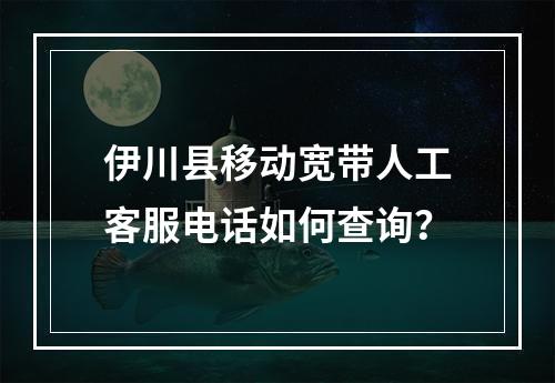 伊川县移动宽带人工客服电话如何查询？
