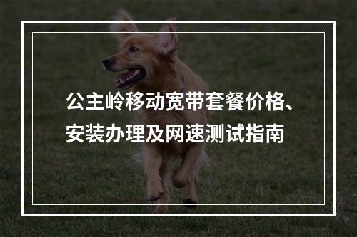 公主岭移动宽带套餐价格、安装办理及网速测试指南