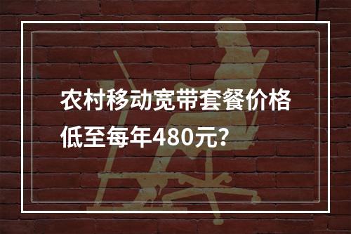 农村移动宽带套餐价格低至每年480元？