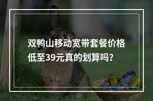 双鸭山移动宽带套餐价格低至39元真的划算吗？