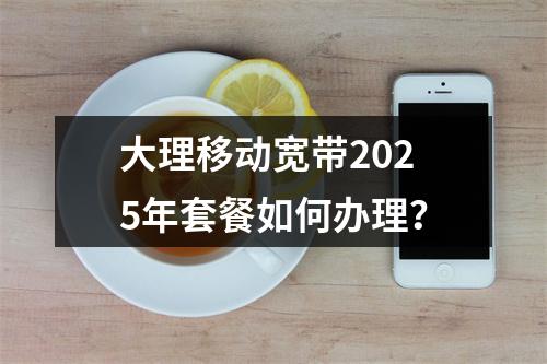大理移动宽带2025年套餐如何办理？
