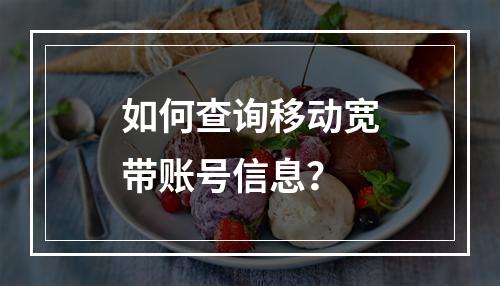 如何查询移动宽带账号信息？