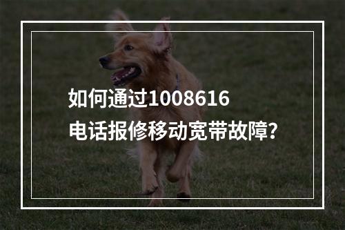 如何通过1008616电话报修移动宽带故障？