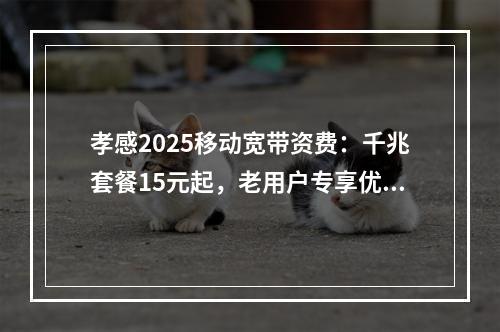 孝感2025移动宽带资费：千兆套餐15元起，老用户专享优惠活动