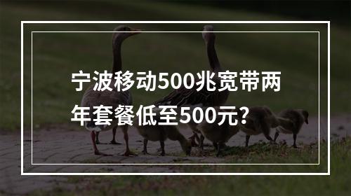 宁波移动500兆宽带两年套餐低至500元？