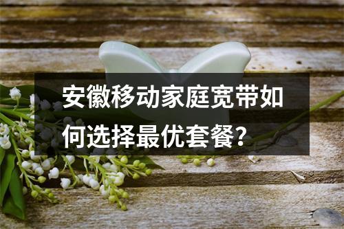 安徽移动家庭宽带如何选择最优套餐？