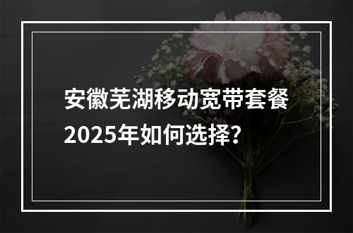安徽芜湖移动宽带套餐2025年如何选择？