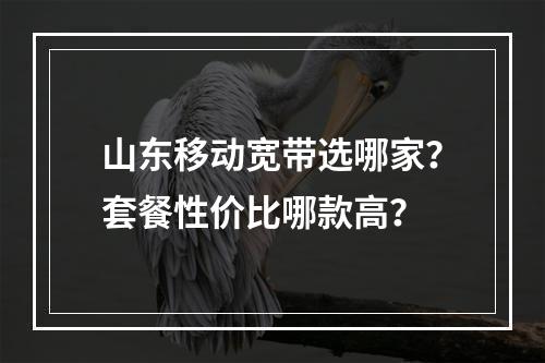 山东移动宽带选哪家？套餐性价比哪款高？