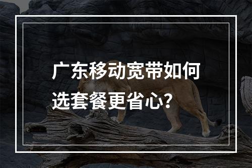 广东移动宽带如何选套餐更省心？