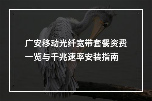 广安移动光纤宽带套餐资费一览与千兆速率安装指南