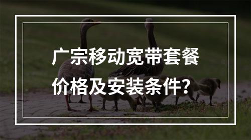 广宗移动宽带套餐价格及安装条件？