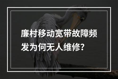 廉村移动宽带故障频发为何无人维修？