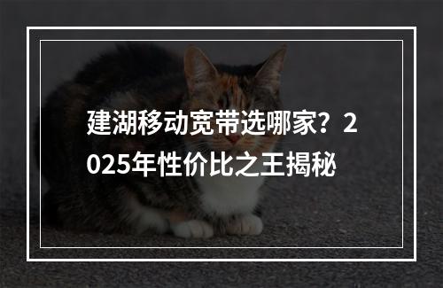 建湖移动宽带选哪家？2025年性价比之王揭秘