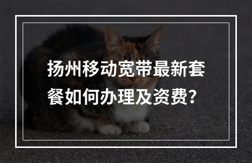 扬州移动宽带最新套餐如何办理及资费？