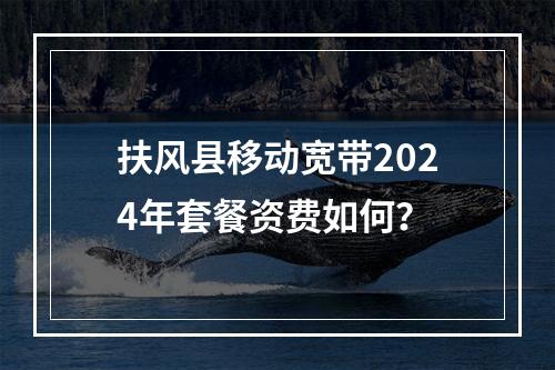 扶风县移动宽带2024年套餐资费如何？