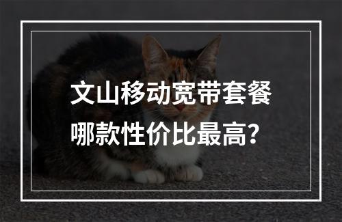 文山移动宽带套餐哪款性价比最高？