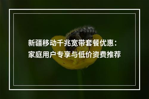 新疆移动千兆宽带套餐优惠：家庭用户专享与低价资费推荐
