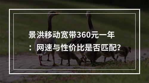 景洪移动宽带360元一年：网速与性价比是否匹配？