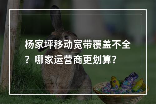 杨家坪移动宽带覆盖不全？哪家运营商更划算？
