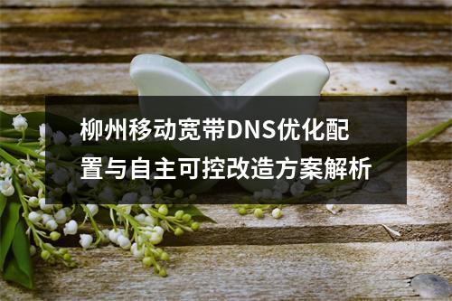柳州移动宽带DNS优化配置与自主可控改造方案解析