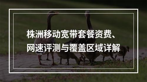 株洲移动宽带套餐资费、网速评测与覆盖区域详解