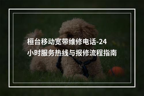 桓台移动宽带维修电话-24小时服务热线与报修流程指南