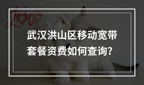 武汉洪山区移动宽带套餐资费如何查询？