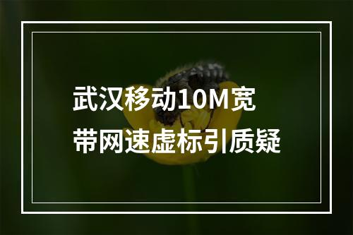 武汉移动10M宽带网速虚标引质疑