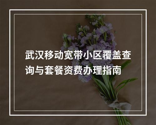 武汉移动宽带小区覆盖查询与套餐资费办理指南