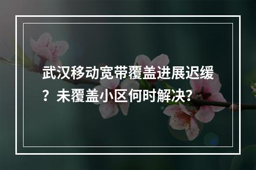 武汉移动宽带覆盖进展迟缓？未覆盖小区何时解决？