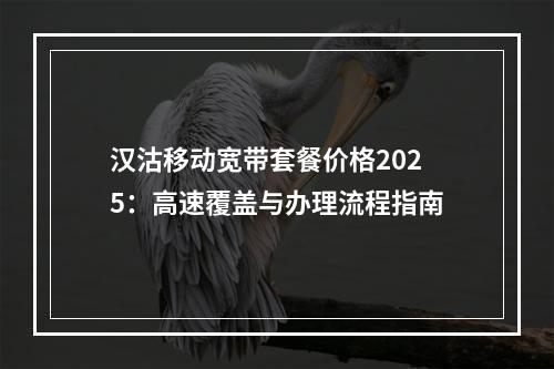 汉沽移动宽带套餐价格2025：高速覆盖与办理流程指南