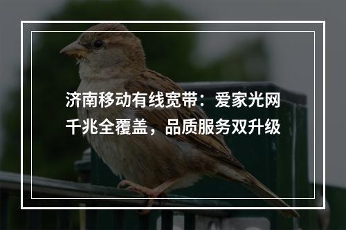 济南移动有线宽带：爱家光网千兆全覆盖，品质服务双升级