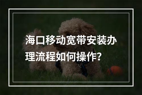 海口移动宽带安装办理流程如何操作？