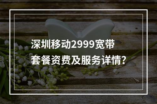 深圳移动2999宽带套餐资费及服务详情？
