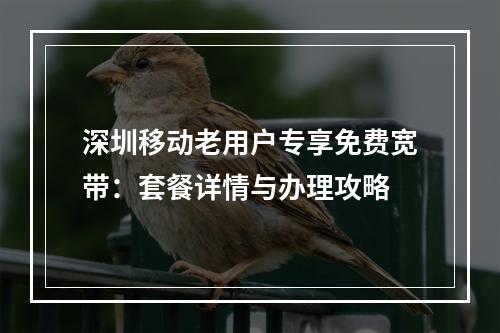 深圳移动老用户专享免费宽带：套餐详情与办理攻略