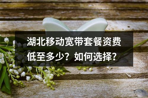 湖北移动宽带套餐资费低至多少？如何选择？
