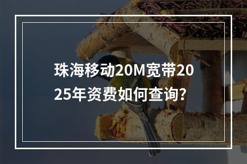 珠海移动20M宽带2025年资费如何查询？