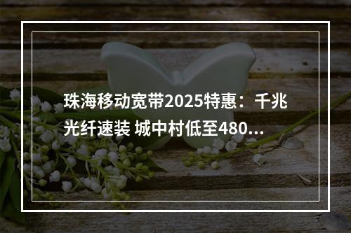 珠海移动宽带2025特惠：千兆光纤速装 城中村低至480元