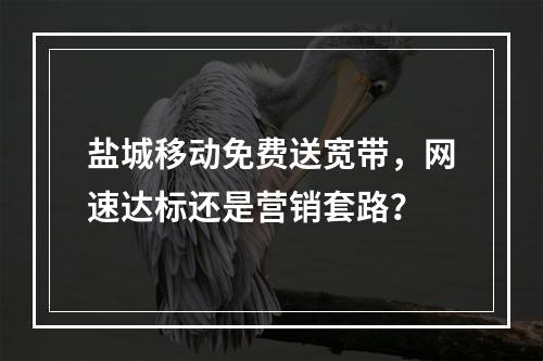盐城移动免费送宽带，网速达标还是营销套路？