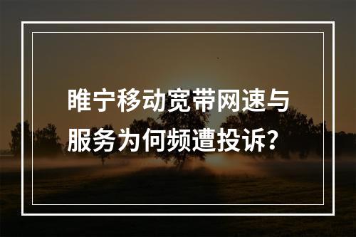 睢宁移动宽带网速与服务为何频遭投诉？