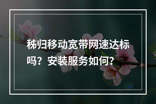 秭归移动宽带网速达标吗？安装服务如何？