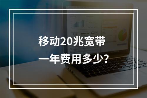 移动20兆宽带一年费用多少？